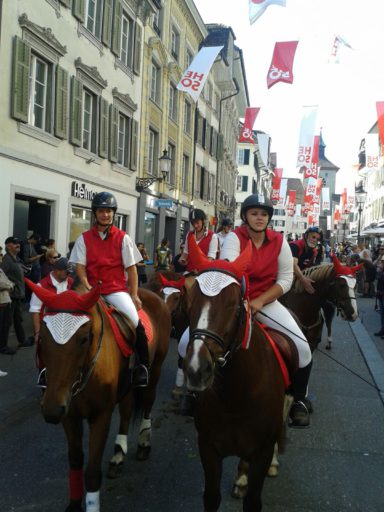 Tag des Pferdes Solothurn 2016