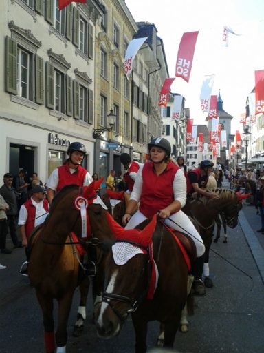 Tag des Pferdes Solothurn 2016