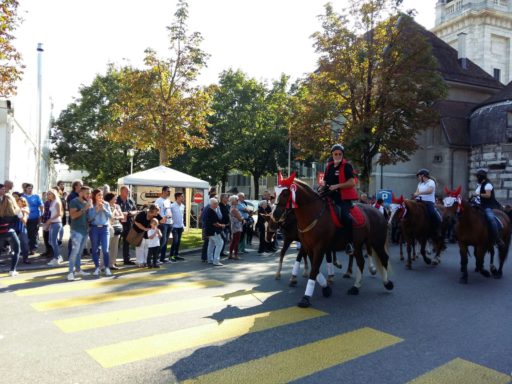 tag-des-pferdes-solothurn-2016-37