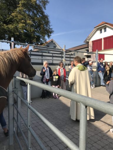 Tiersegnung 2018